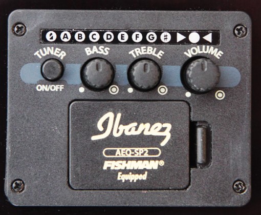    Ibanez AEQ-2T