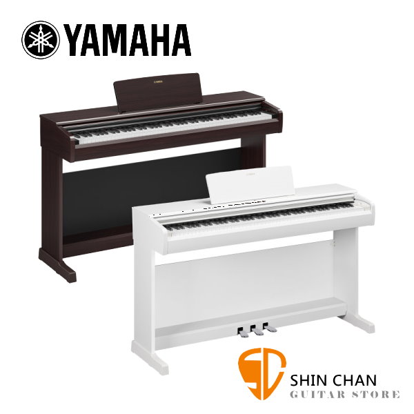 Yamaha YDP-146 數位鋼琴 88鍵 電鋼琴 Digital Piano ARIUS YDP146
