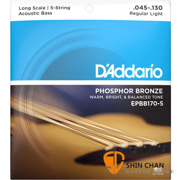 D'addario EPBB170-5 磷青銅 五弦 木貝斯弦 【Acoustic Bass Strings/Daddario】
