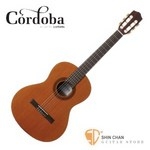 Cordoba 美國品牌 Cadete 3/4單板古典吉他 附琴袋 古典吉他腳踏板 擦琴布【3/4琴身/弦長:61.5cm/36吋】