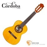 Cordoba 美國品牌 C1 1/4古典吉他 附琴袋 木踏板 擦琴布【1/4琴身/C-1/弦長:48cm/32吋】