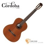  Cordoba 美國品牌 C5 單板古典吉他 附琴袋 古典吉他腳踏板 擦琴布【C-5】