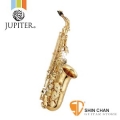 薩克斯風 ▻ JUPITER JAS-1100Q 中音薩克斯風 Eb調 ALTO SAX  附原廠攜行盒 原廠公司貨 一年保固【JAS1100Q】